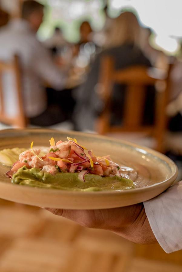 Spring Creek Lodge Junín de los Andes エクステリア 写真