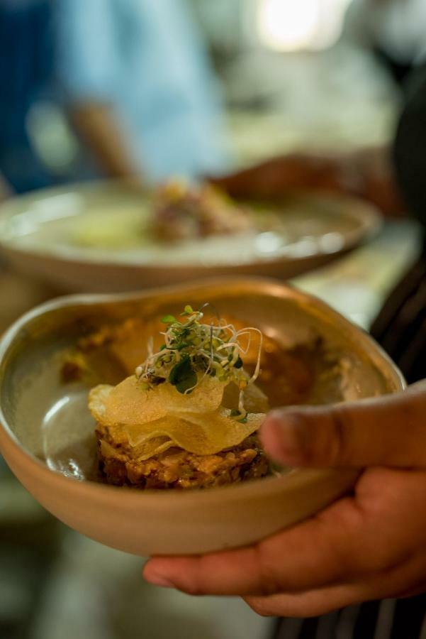 Spring Creek Lodge Junín de los Andes エクステリア 写真